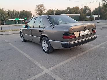 дерево на мерс 124: Mercedes-Benz W124: 1990 г., 2.3 л, Механика, Бензин, Седан — 5