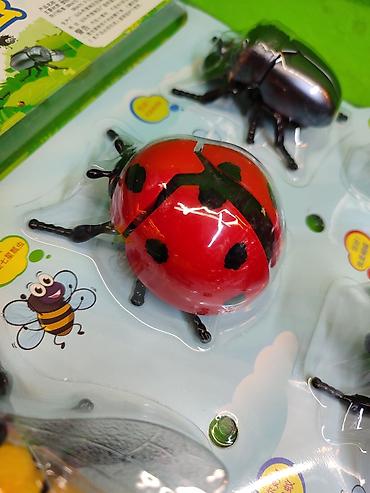 Игрушки: Насекомые игрушки заводные в комплекте для детей🐝 Комплектация — 4