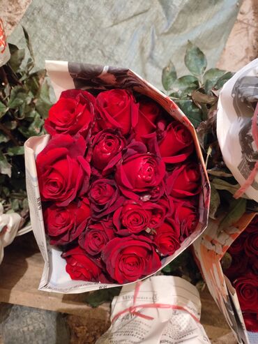 детскую кровать 7 в 1: Розы — срезка и садовые сорта. - Красные классические розы для