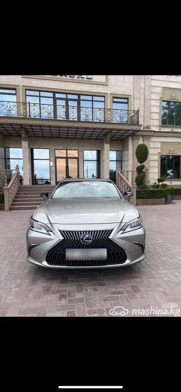 титан на 124: Lexus ES: 2020 г., 2.5 л, Автомат, Гибрид, Седан