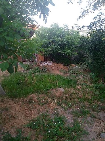 Продажа коттеджей и домов: Продаю дом с участком, в центре Беловодска,, дом 9 м / 16 м навес — 9