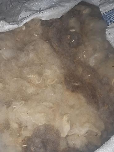 qoyun paltarı: Bu, ağ kisəyə qablaşdırılmış, təbii, emal olunmamış yundur. Material — 2