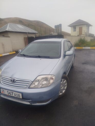 runx alex: Toyota Corolla: 2006 г., 1.6 л, Механика, Бензин, Седан
