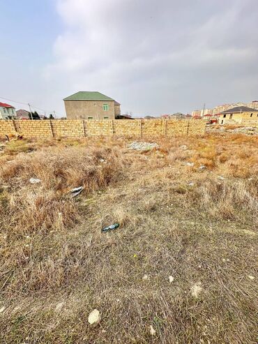 Torpaq sahələrinin satışı: 6 sot, Kənd təsərrüfatı, Makler, Kupça (Çıxarış), Texniki pasport -da lalafo.az — 10 Torpaq sahələrinin satışı: 6 sot, Kənd təsərrüfatı, Makler, Kupça (Çıxarış), Texniki pasport — 10