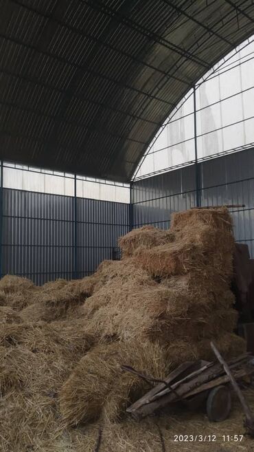 Продажа домов: Дом, 110 м², 6 комнат, Собственник — 6