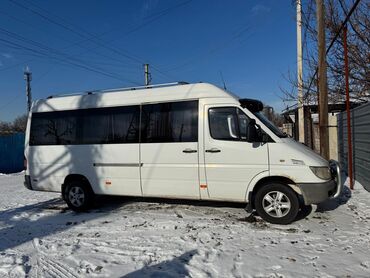 Автобусы и маршрутки: Автобус, 2005 г.