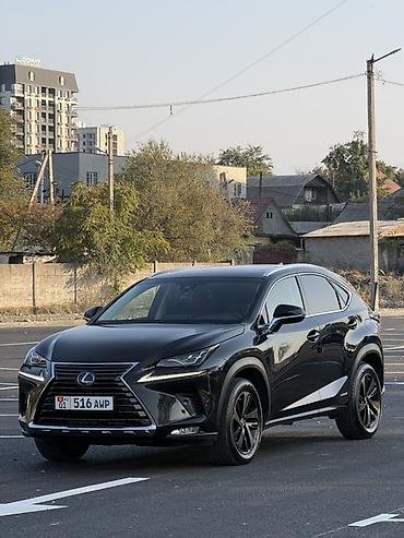 120 prado: Lexus NX: 2019 г., 2.5 л, Вариатор, Гибрид, Кроссовер — 1