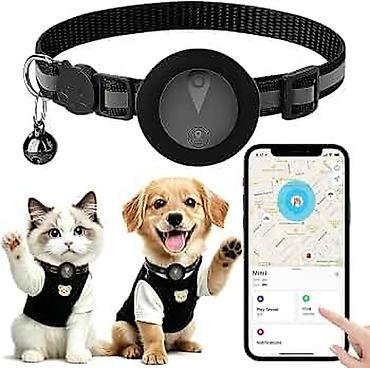 meymun canli: 🐾 İT VƏ PİŞİKLƏR ÜÇÜN GPS CİHAZI 🐕 İri və kiçik cins itlər 🐈 Bütün — 1