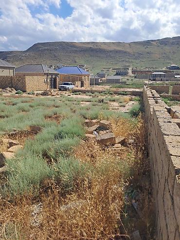 məhəmmədi torpaq: 4 sot, Tikinti, Mülkiyyətçi, Kupça (Çıxarış), Texniki pasport — 1