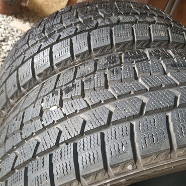 колесо на газ 52: Шиналар 185 / 60 / R 15, Кыш, Жуп, Жеңил унаалар, Dunlop
