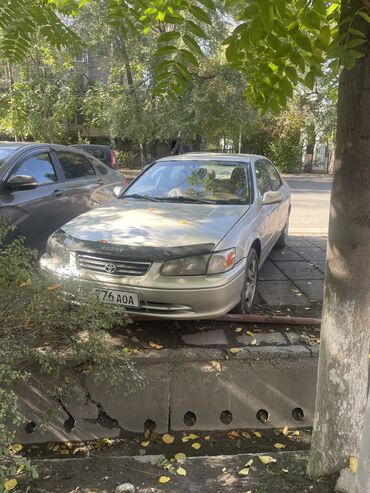 авто ламбаргини: Toyota Camry: 2000 г., 2.2 л, Автомат, Бензин, Седан