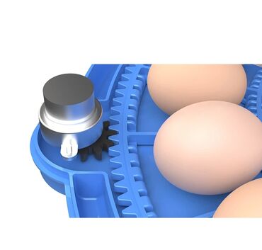 Oprema za kućne ljubimce: INKUBATOR Automatski nove generacije za 52 jaja 12v/220v — 6