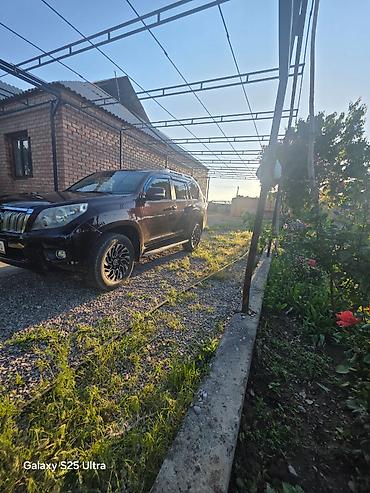 го парк: Toyota Land Cruiser Prado: 2011 г., Автомат, Дизель, Внедорожник — 6