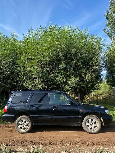 subar: Subaru Forester: 2000 г., 2 л, Автомат, Бензин, Кроссовер — 3