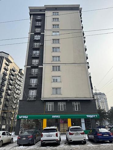 49: 1 комната, 49 м², Элитка, 7 этаж, Евроремонт — 4