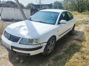 зарядное устройство для аккумуляторов автомобилей: Volkswagen Passat: 1999 г., 1.8 л, Механика, Бензин, Седан