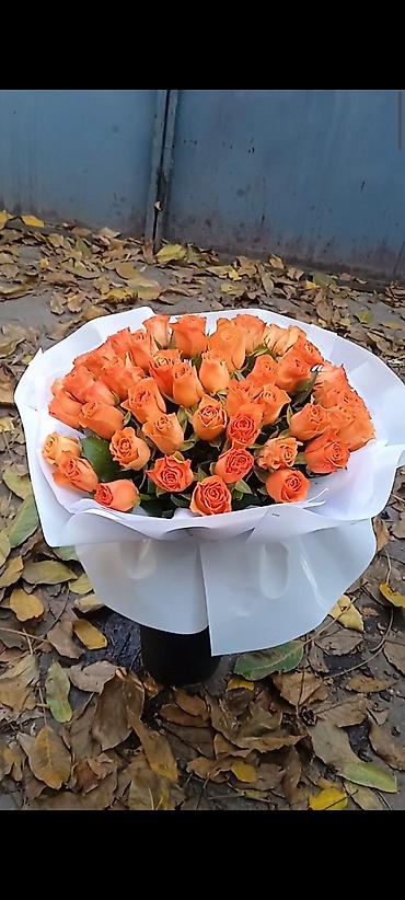 Цветы и букеты: Акция‼️‼️‼️101 и 51 роза букет 💐 любое оформление в подарок 🌹акция — 18