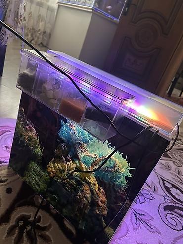 su suzən daslar: Dördbucaq akvarium, Boş, 80 l, Ödənişli çatdırılma — 3