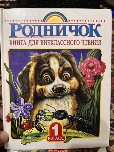 школная книга: Продаю Родничок для 1 класса. В идеальном состоянии. Самовывоз с 5 мкр