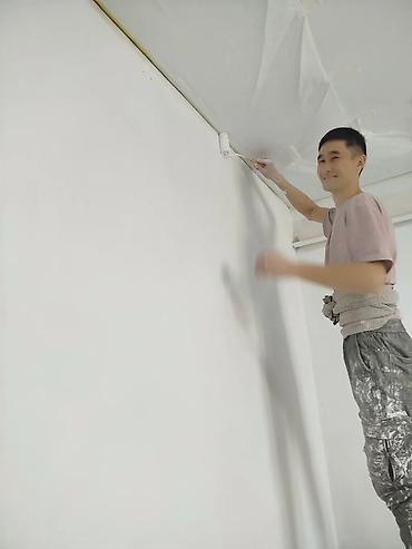 красит крышу: Покраска наружных стен, На масляной основе, Больше 6 лет опыта — 10
