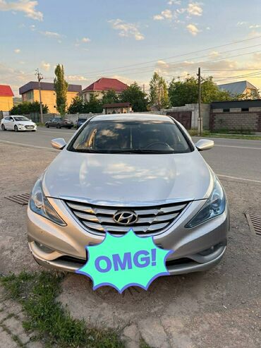 Hyundai: Hyundai Sonata: 2010 г., 2 л, Автомат, Газ, Седан