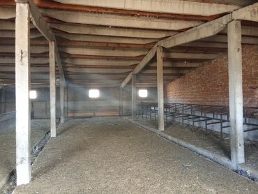 Продажа участков: 120 соток, Для сельского хозяйства, Красная книга — 2