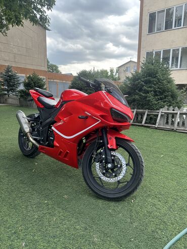 Мотоциклы: Спортбайк Ducati, 250 куб. см, Бензин, Взрослый