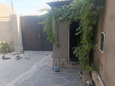 satliq evler: 3 otaqlı, 60 kv. m, Yeni təmirli — 3