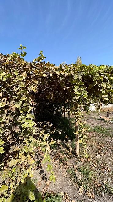 Продажа коттеджей и домов: Продаётся дом г.Кара-Балта ул Гагарина Цена договорная или обмен — 6