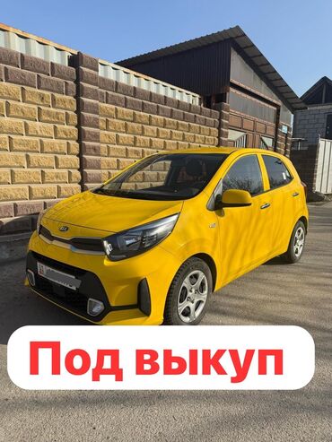 сдаю авто под выкуп нексия: Сдаю в аренду: Легковое авто, Под выкуп