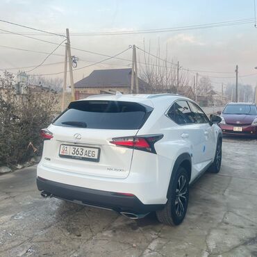 Lexus: Lexus NX: 2017 г., Кроссовер — 27
