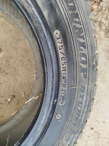 195 65 14 с: Пара зимних шин Dunlop - Модель: Dunlop Graspic (Studless) - Размер — 3