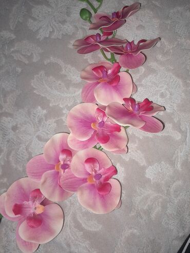 Other Home Decor: Artificial flower