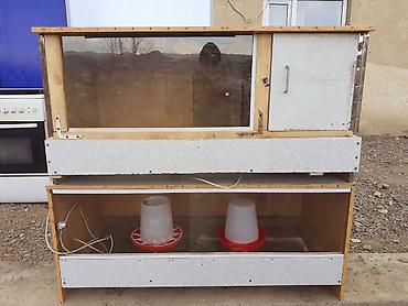 Товары и оборудование для с/х животных: Брудер для цыплят/молодняка птицы - Закрытая теплая коробка с — 8