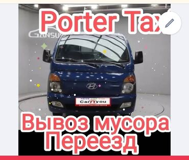 шотландская вислоухая кошка черная: Вывоз мусора вывоз мусора вывоз мусора вывоз мусора. Вывоз мусора