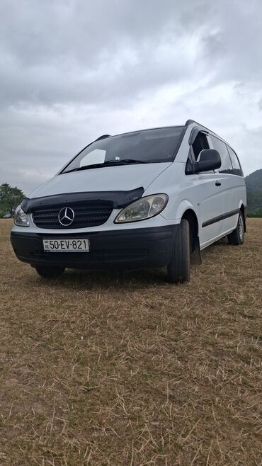 шины dunlop в баку: Mercedes-Benz Vito 8+1. Azerbaycan daxil şeher ve rayonlara sifariş