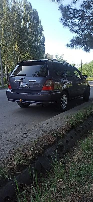 absolute: Honda Odyssey: 2002 г., 3 л, Автомат, Бензин, Минивэн — 2