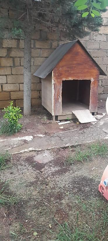 it ucun qefes: Açıq havada istifadə üçün taxta it evi - Material: qalın taxta — 2