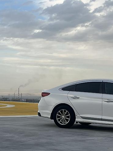 byd han: Hyundai Sonata: 2019 г., 2 л, Автомат, Бензин, Седан — 4
