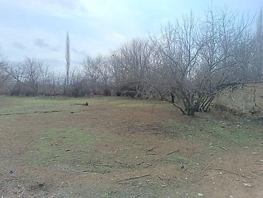 Həyət evi alıram: Unvan:Goranboy Məhlə sənətdə 25 sotdu ancaq 35 sotdan çokdu. Əl evi — 12