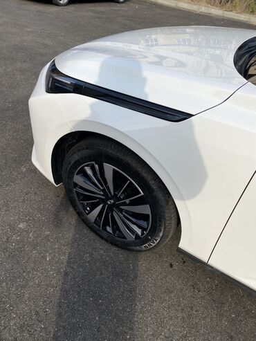 Voyah: Voyah 1.5 l — 12