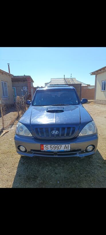 Hyundai: Hyundai Terracan: 2003 г., 2.9 л, Механика, Дизель, Жол тандабас