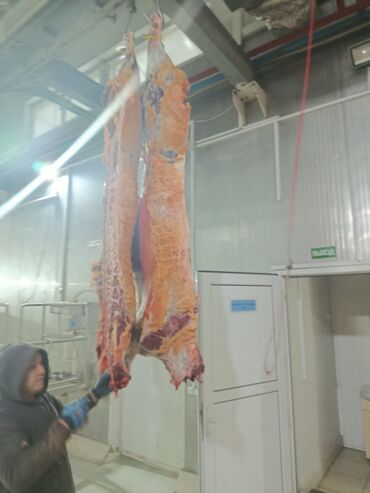 малина замороженные: Говядина : Более 10 кг, Бесплатная доставка