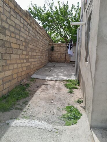 Bağ evlərinin satışı: Bakı, Novxanı, 500 kv. m, 6 otaqlı, Qaz, İşıq, Su -da lalafo.az — 23 Bağ evlərinin satışı: Bakı, Novxanı, 500 kv. m, 6 otaqlı, Qaz, İşıq, Su — 23