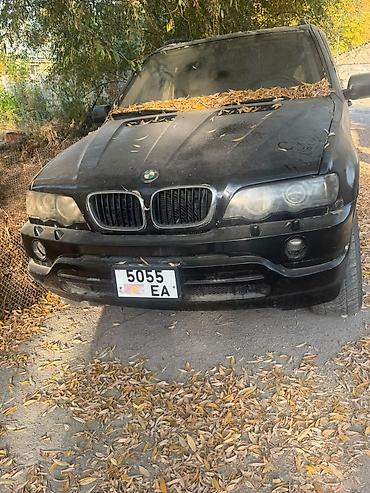 решетка виндом: BMW X5: 2002 г., Автомат, Кроссовер — 3