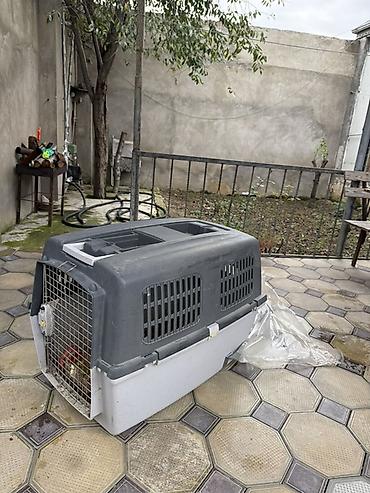 heyvan daşıma çantası: Heyvan daşıma konteyneri (pet carrier) - Material: möhkəm plastik — 4