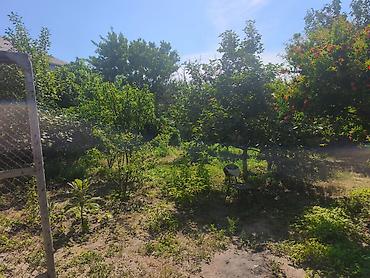 rufat aynur emlak: Sumqayıt, 4 kv. m, 1 otaqlı, Hovuzsuz — 2