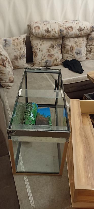 gence akvarium: Dördbucaq akvarium, Boş, 80 l — 4