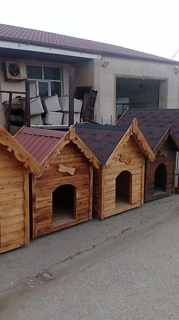 heyvanlar quslar: Taxta it evləri – fərqli ölçü və dizaynlarda - Material: təbii — 1