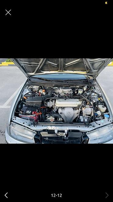 altezza lexus: Honda Accord: 1994 г., 2 л, Механика, Газ, Седан — 10
